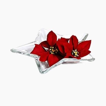 0403/40/63244@Stella star transparent